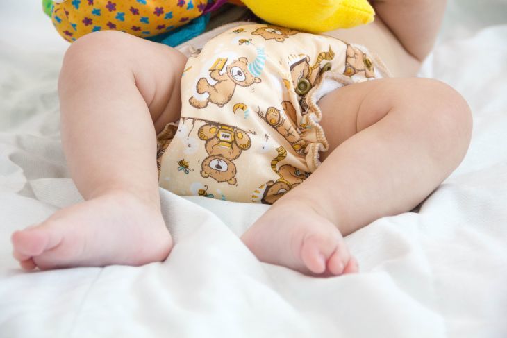 Bez Bebek Bezlerinde Amonyak Kokusu