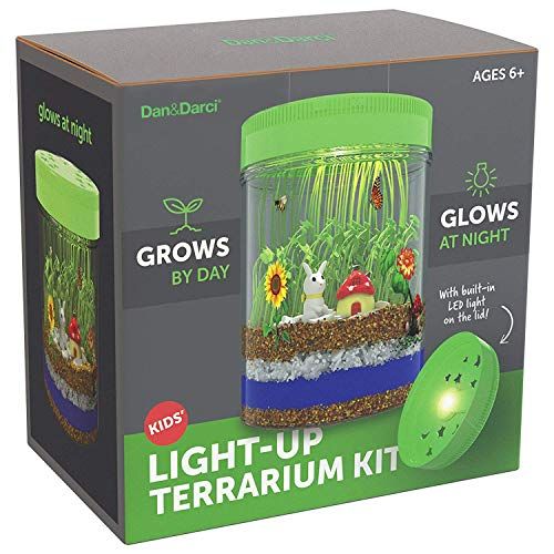 Slika izdelka kompleta Light-Up Terrarium Kit for Kids - STEM Activities Science Craft Kits - Kids...